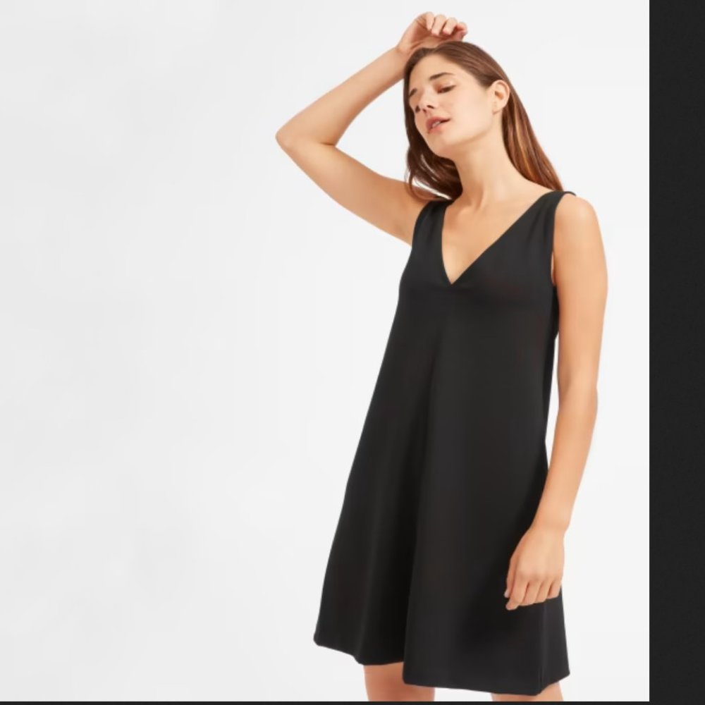 Everlane A-Line Little Black Dress